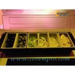 tablecraft-102-6-compartment-condiment-holder