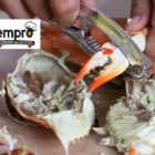Juego de Utensilios de 3 piezas para crustaceos