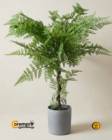Mini Árbol con Maceta 65cm
