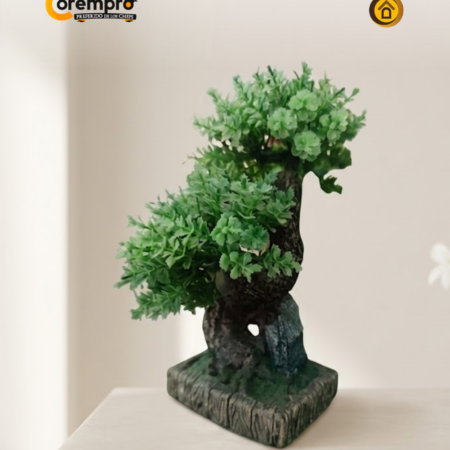 Bonsai 14 cm