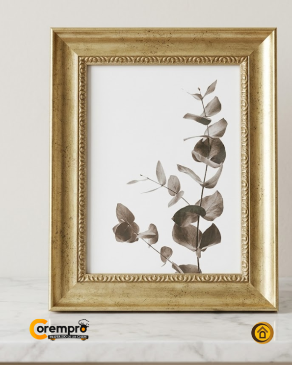 COREMPRO POST-PAG WEB (30)