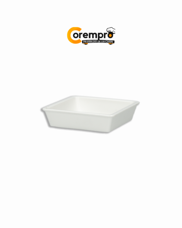 COREMPRO POST-PAG WEB (39)