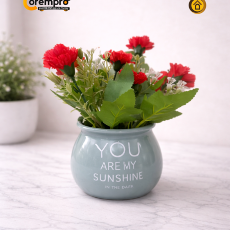 Maceta de Claveles Decorativa