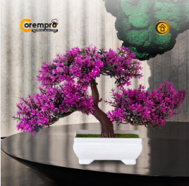 Árbol Bonsai Purpura